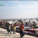 Experience The Magnificent Mahakumbh at Prayagraj