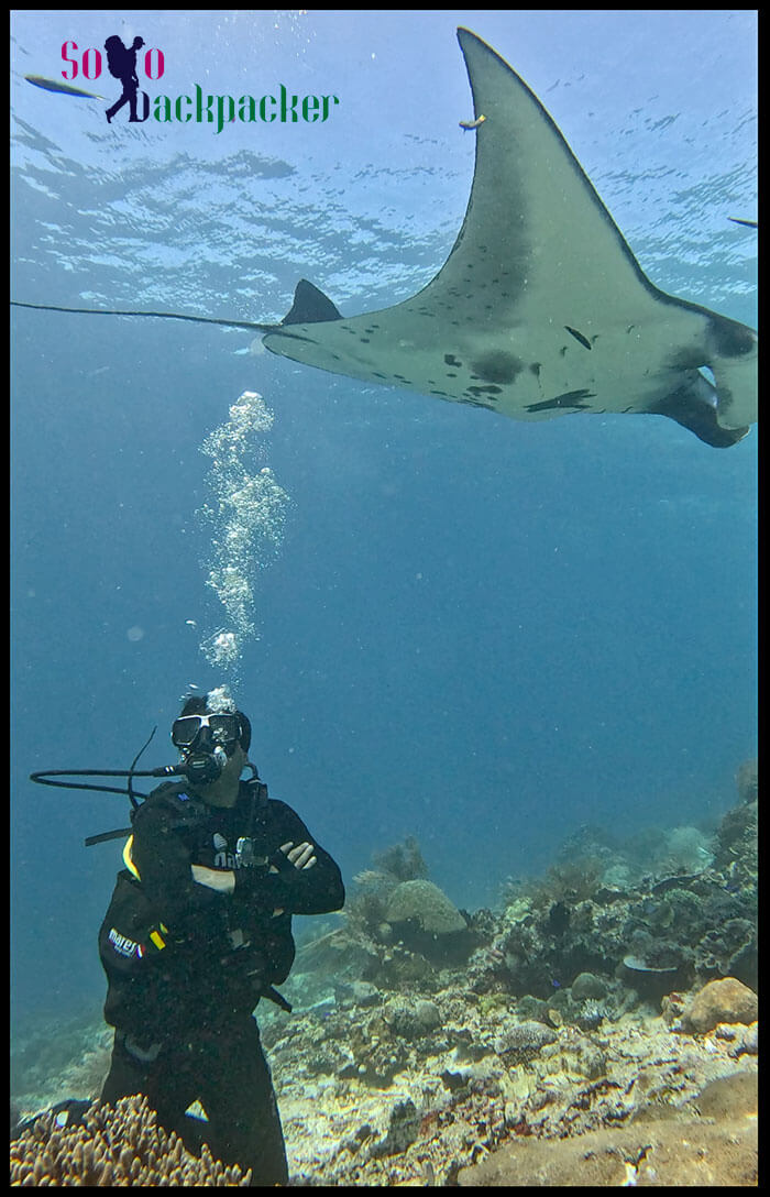 Scuba Diving at Komodo
