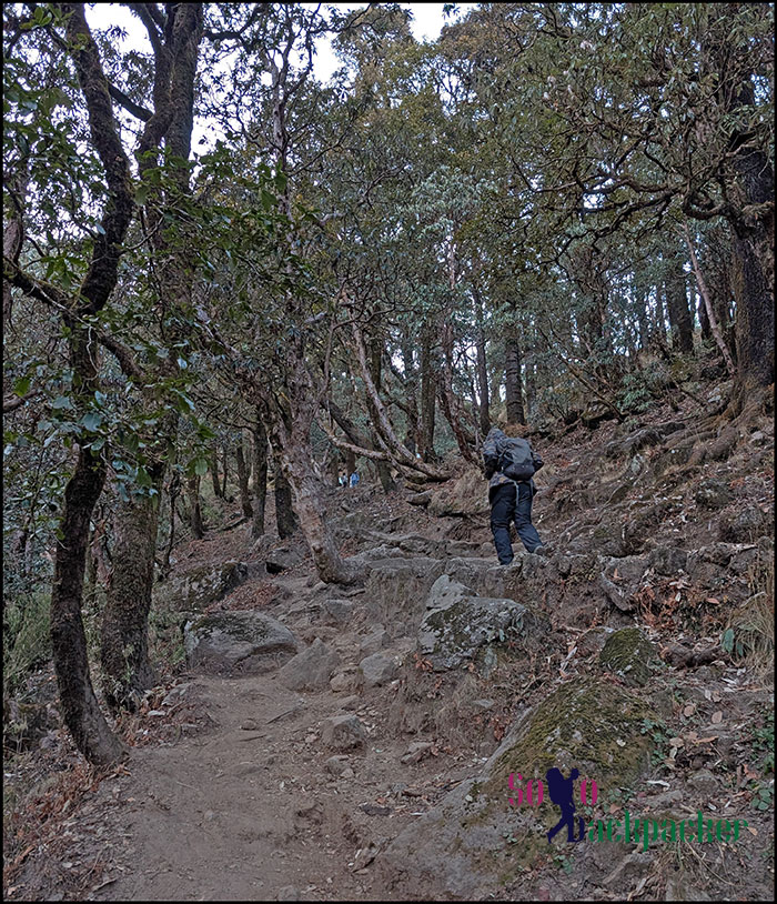 Trail to Khaliya Top Base Camp