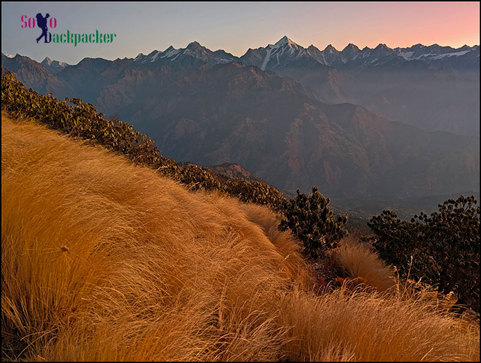 View from the Bugyal