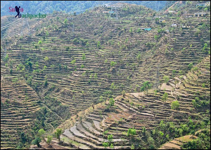 Terraced Farm Fields near Chamba
