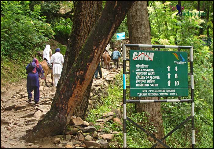 Trail from Govindghat to Ghangaria